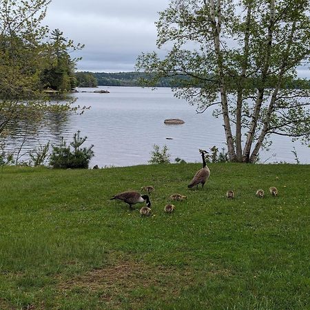 Alamoosook Lakeside Inn Orland Екстериор снимка